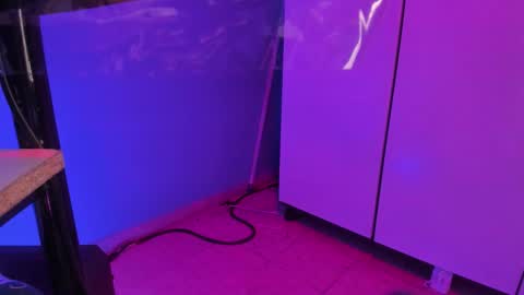 hannyk_ online show from 02.12.26