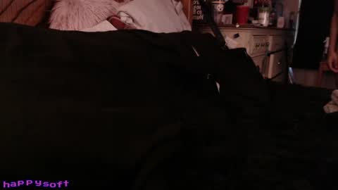 meatwad online show from 04.18.26