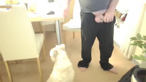 harald1234 online show from 02.21.26