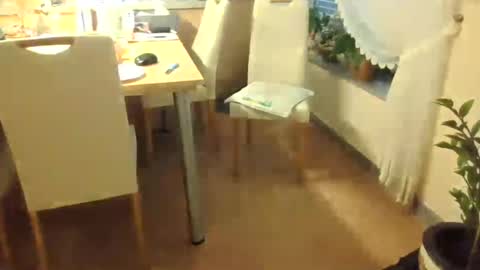 harald1234 online show from 07.26.26