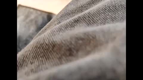 Snapshot of hardandhorny422 chatting on 10.30.25 hardandhorny422 online show from 10.30.25