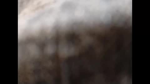 Snapshot of hardandhorny422 chatting on 11.11.25 hardandhorny422 online show from 11.11.25