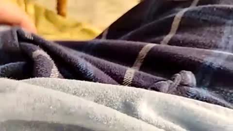 Snapshot of hardandhorny422 chatting on 11.30.25 hardandhorny422 online show from 11.30.25