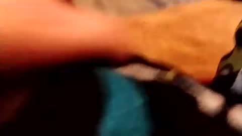 Snapshot of hardandhorny422 chatting on 12.04.25 hardandhorny422 online show from 12.04.25