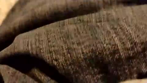 Snapshot of hardandhorny422 chatting on 01.05.26 hardandhorny422 online show from 01.05.26