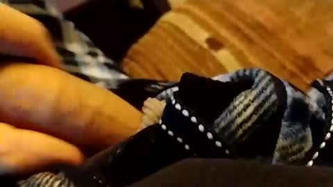 hardandhorny422 online show from 04.12.26