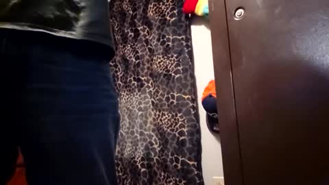 Funsize online show from 02.08.26