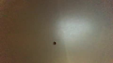 For You online show from 10.01.25