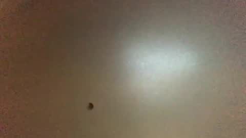 For You online show from 02.01.26