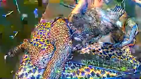 Irina online show from 02.02.25