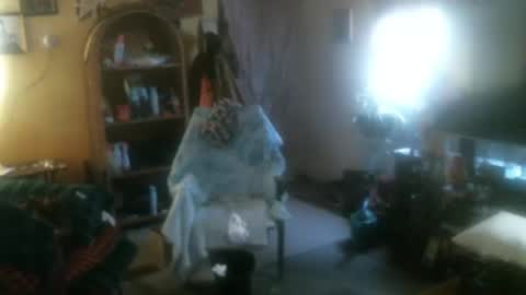 john nobles online show from 11.16.25