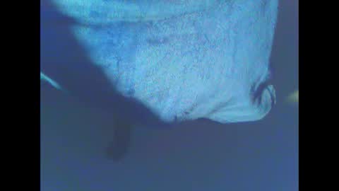 hardning online show from 12.28.24