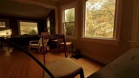 Tom online show from 10.20.25