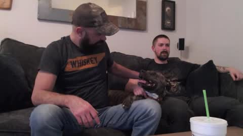 hardworkertn online show from 04.06.26