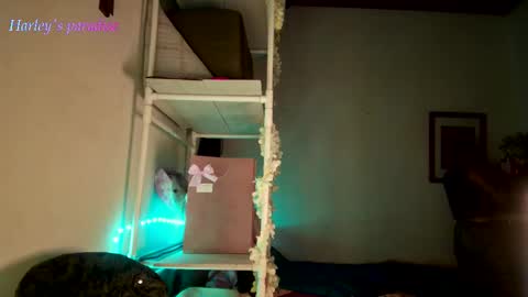 900 am to 300 pm - GTM 5 Weekdays online show from 11.28.25