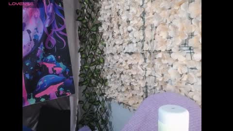 Harmonys World online show from 04.08.26