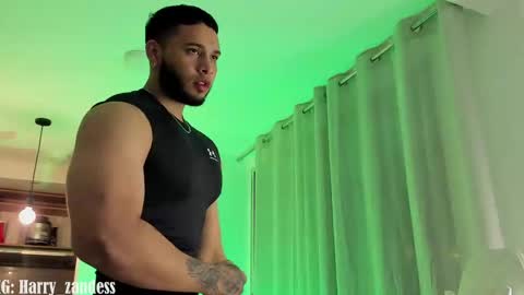 Harry Zandes online show from 02.26.25