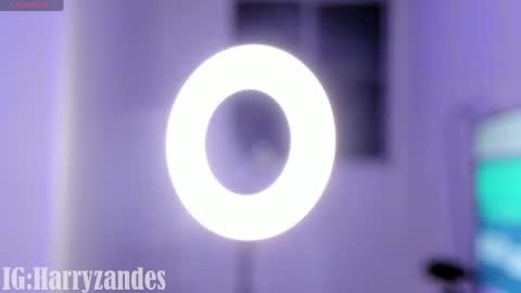 Harry Zandes online show from 03.04.25