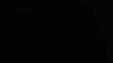 Nicole online show from 12.20.24