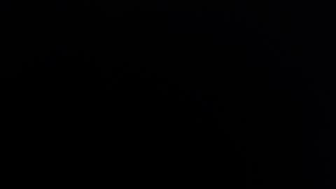 Nicole online show from 02.02.25