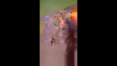 hawks2113 online show from 04.27.26