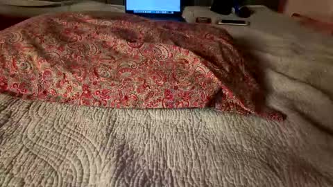 Amber  -   or vip  online show from 03.08.26