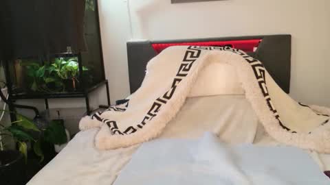 Hazeleo online show from 03.29.26