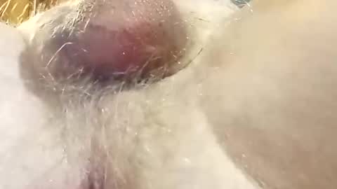 hcross2448 online show from 02.22.25