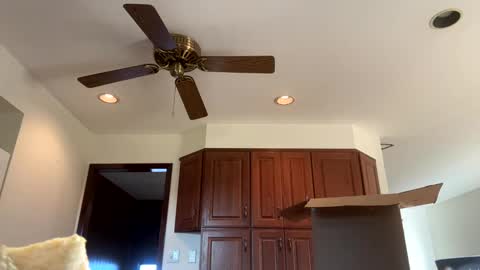 heatwavee online show from 11.04.25