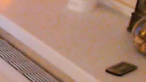 Heaven girl online show from 01.04.25