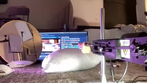 LockedThug online show from 12.15.25