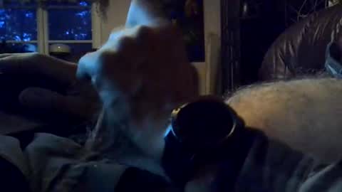 Hedonist online show from 05.17.26