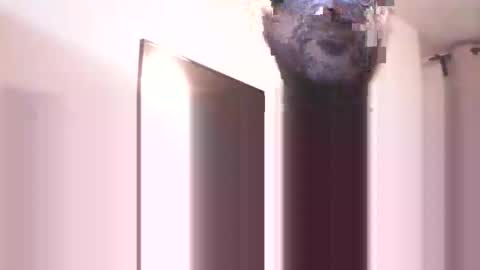 Heist Stein online show from 12.13.25