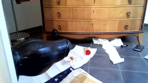 helisporty online show from 11.14.25