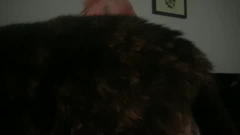 Snapshot of hell0kittyblood chatting on 03.02.25 Bunnie Rotz online show from 03.02.25