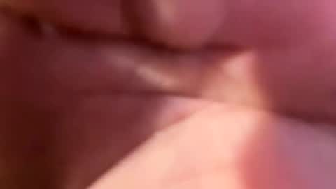 hellohiheyhowareyou online show from 11.18.25