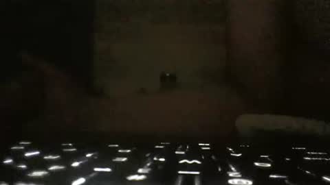 WhoMe online show from 02.06.25