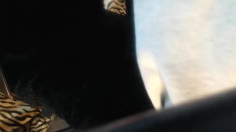 Helvell online show from 04.13.26