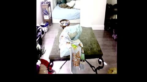 Snapshot of henryflapper chatting on 01.04.25 HenryFlapper online show from 01.04.25