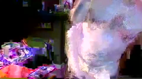 herb60657 online show from 11.04.25