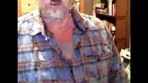 hereford66 online show from 01.07.25