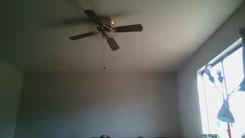 hermannbukowski online show from 10.20.25