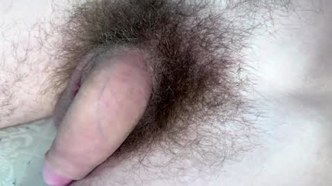 Arnold online show from 01.29.25