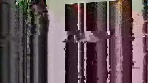 Snapshot of highandhell chatting on 02.19.26 Highandhell online show from 02.19.26