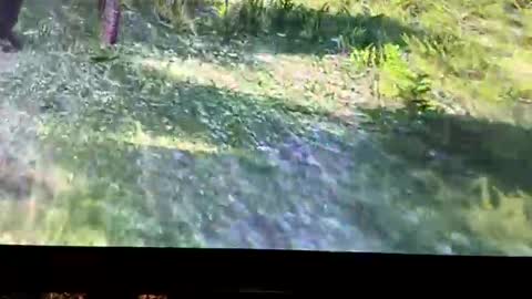 hightymz420 online show from 10.27.25