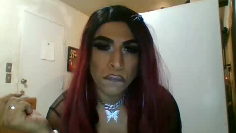 hihheelstranny online show from 04.12.26