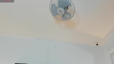 hilary_tailor online show from 01.06.26