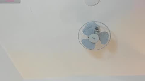 hilary_tailor online show from 01.16.26