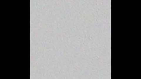 Snapshot of hofnung chatting on 02.14.26 hofnung online show from 02.14.26