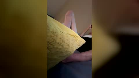 hole pig online show from 02.23.26